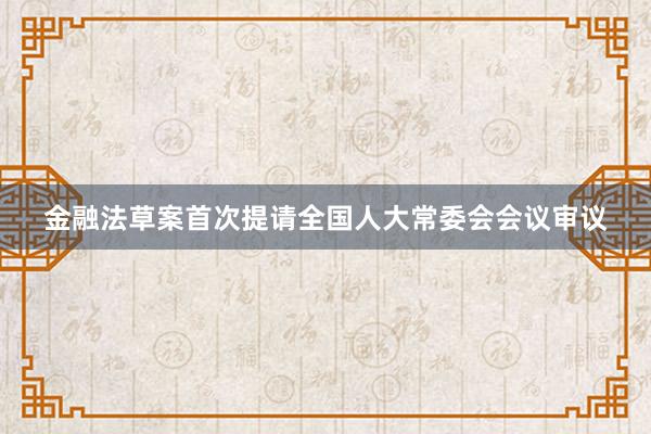 金融法草案首次提请全国人大常委会会议审议