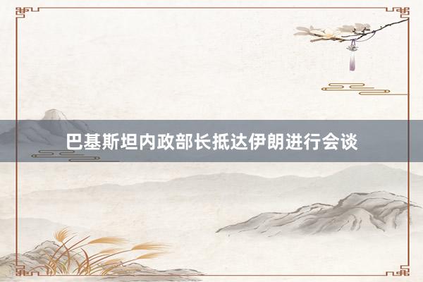 巴基斯坦内政部长抵达伊朗进行会谈
