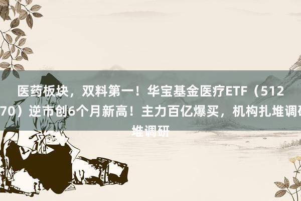 医药板块，双料第一！华宝基金医疗ETF（512170）逆市创6个月新高！主力百亿爆买，机构扎堆调研
