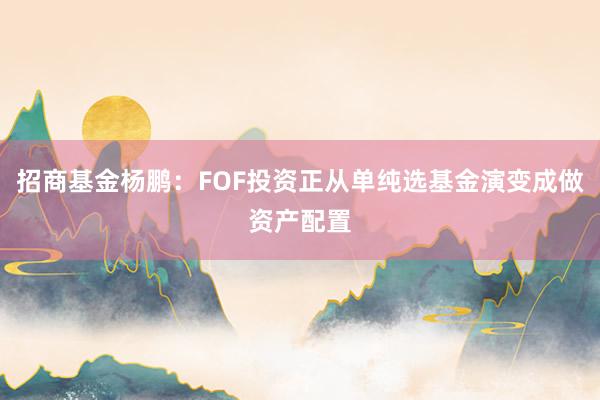 招商基金杨鹏：FOF投资正从单纯选基金演变成做资产配置