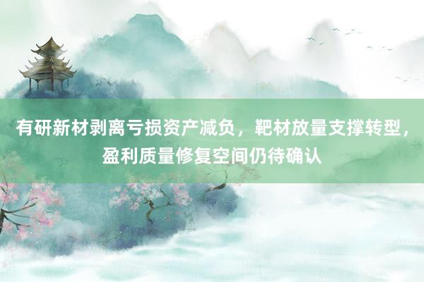 有研新材剥离亏损资产减负，靶材放量支撑转型，盈利质量修复空间仍待确认