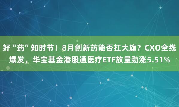好“药”知时节！8月创新药能否扛大旗？CXO全线爆发，华宝基金港股通医疗ETF放量劲涨5.51%