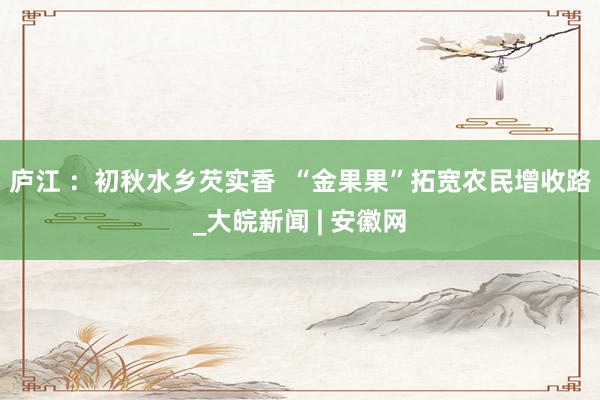 庐江 ：初秋水乡芡实香  “金果果”拓宽农民增收路_大皖新闻 | 安徽网