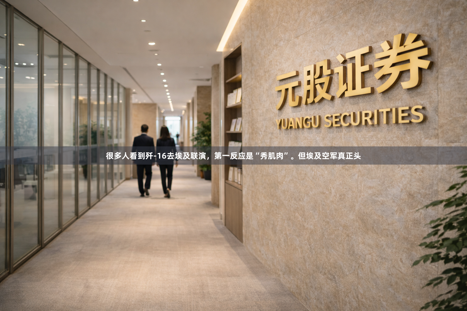 很多人看到歼-16去埃及联演，第一反应是“秀肌肉”。但埃及空军真正头