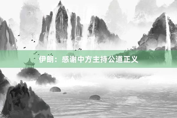 伊朗：感谢中方主持公道正义