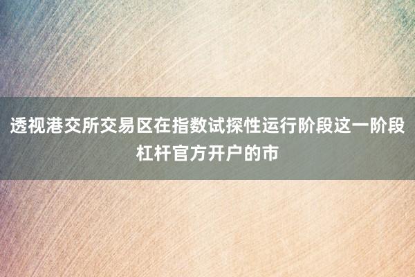 透视港交所交易区在指数试探性运行阶段这一阶段杠杆官方开户的市