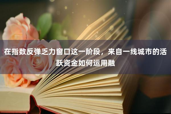 在指数反弹乏力窗口这一阶段，来自一线城市的活跃资金如何运用融