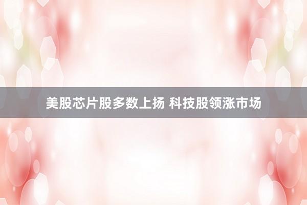 美股芯片股多数上扬 科技股领涨市场