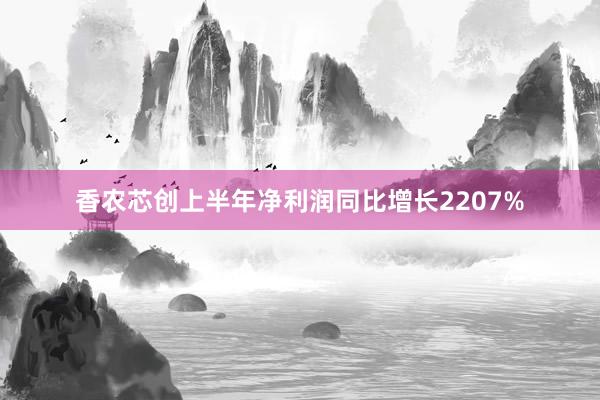 香农芯创上半年净利润同比增长2207%