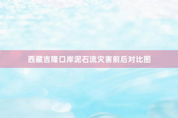西藏吉隆口岸泥石流灾害前后对比图