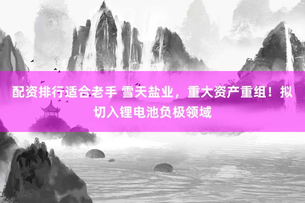 配资排行适合老手 雪天盐业，重大资产重组！拟切入锂电池负极领域
