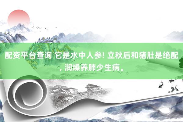 配资平台查询 它是水中人参! 立秋后和猪肚是绝配, 润燥养肺少生病。