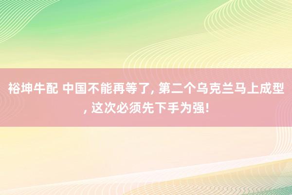 裕坤牛配 中国不能再等了, 第二个乌克兰马上成型, 这次必须先下手为强!