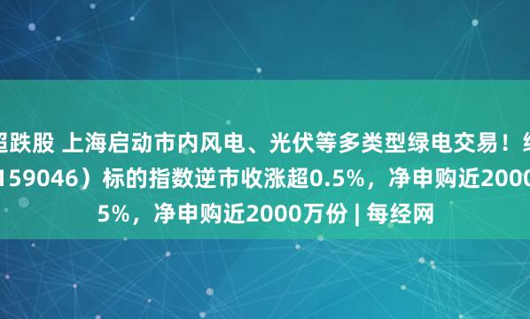 超跌股 上海启动市内风电、光伏等多类型绿电交易！绿电ETF天弘（159046）标的指数逆市收涨超0.5%，净申购近2000万份 | 每经网